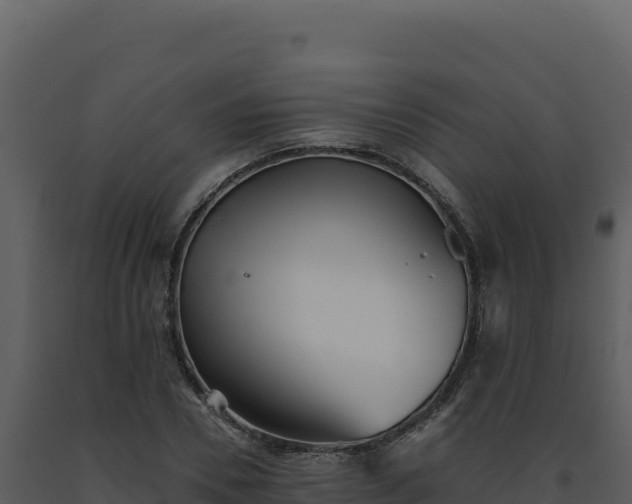 X0000093500930200710191246