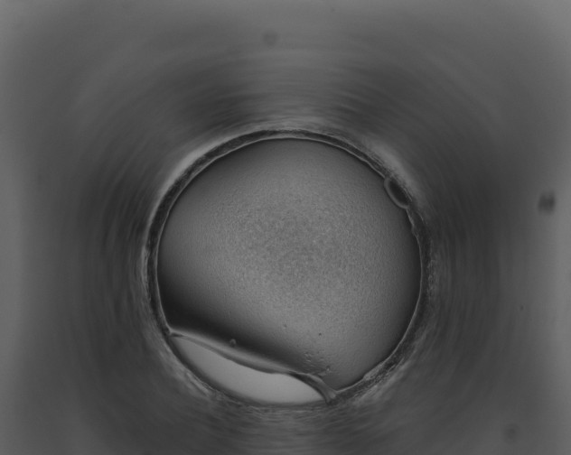X0000093500932200710191246