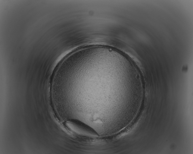 X0000093500933200710191246