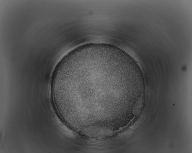 X0000093500935200710191246