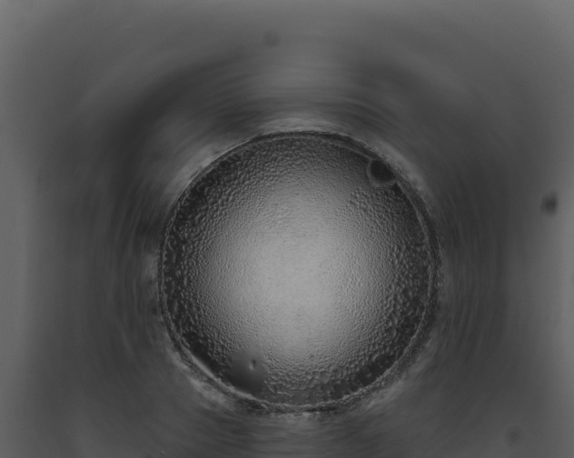 X0000093500937200710191246