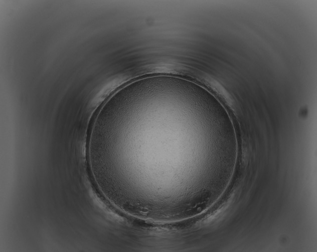 X0000093500938200710191246