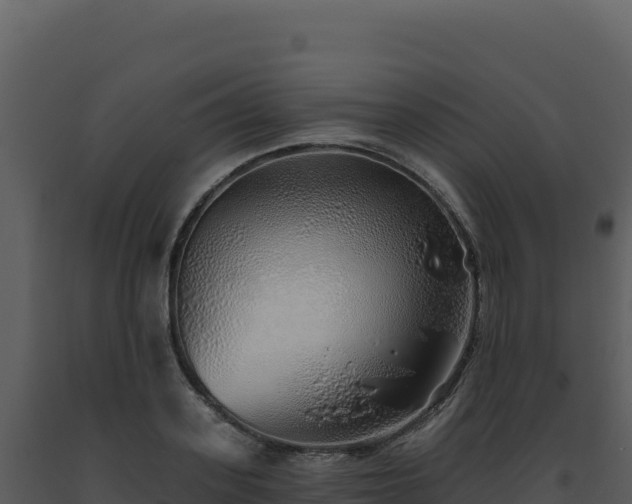 X0000093500939200710191246