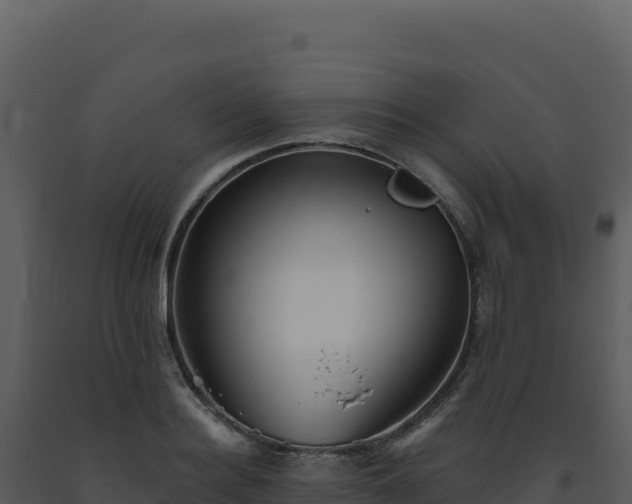 X0000093500940200710191246