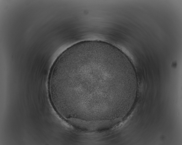 X0000093500943200710191246