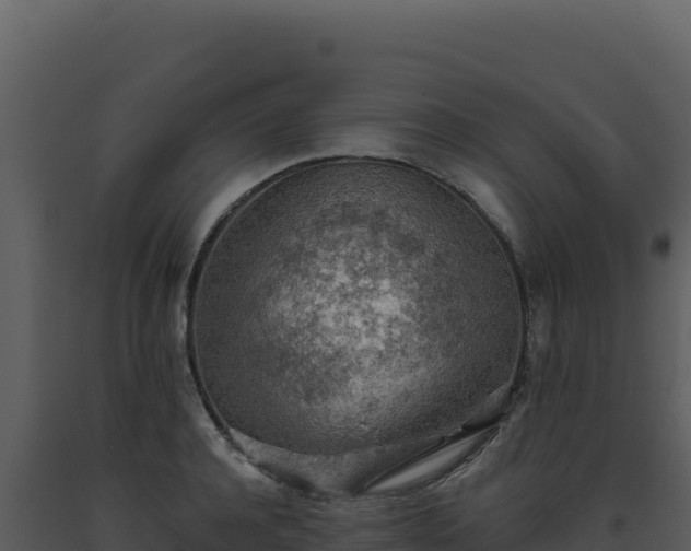 X0000093500944200710191246