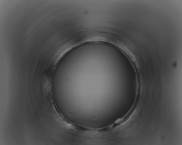X0000093500945200710191246