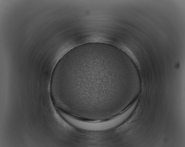 X0000093500946200710191246