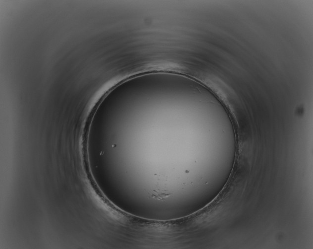 X0000093500947200710191246