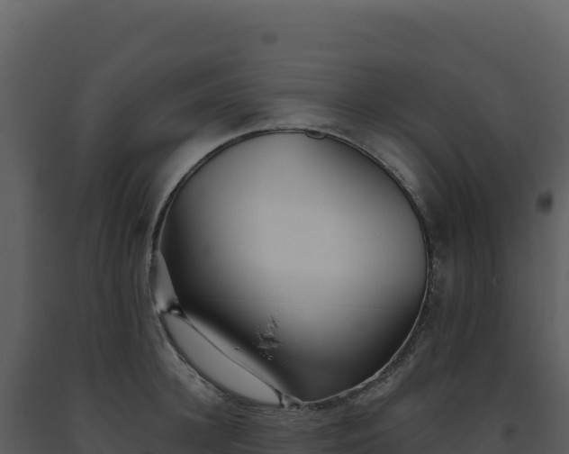 X0000093500948200710191246