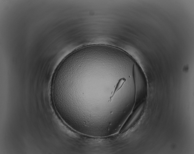 X0000093500949200710191246