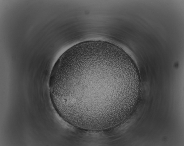 X0000093500951200710191246