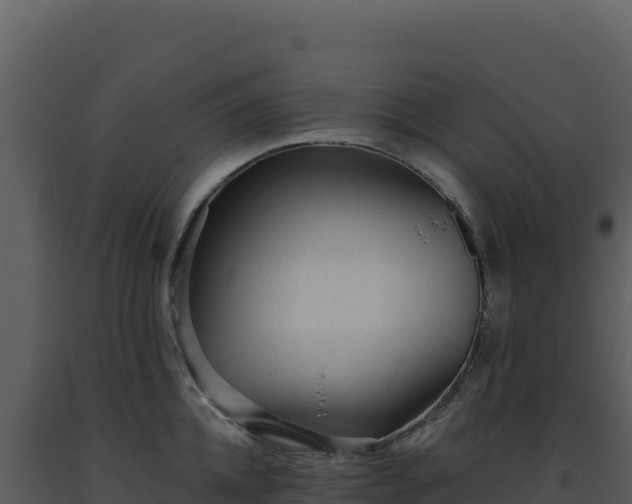 X0000093500952200710191246