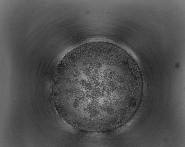 X0000093500953200710191246