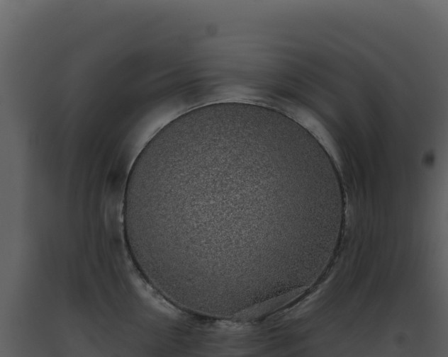 X0000093500954200710191246