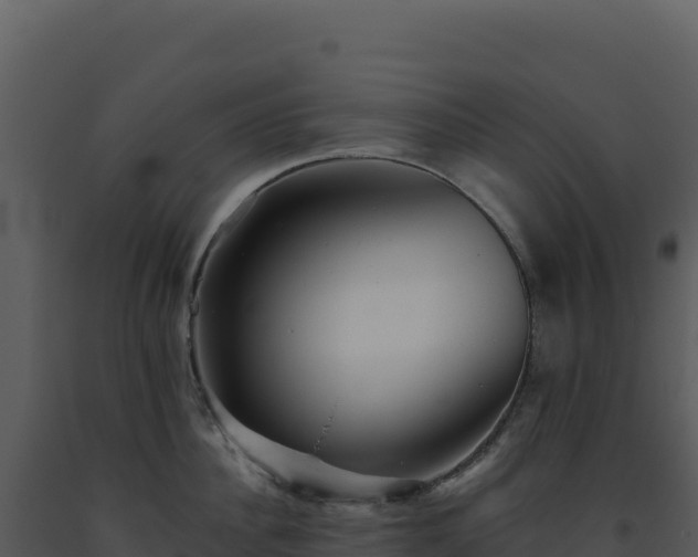 X0000093500956200710191246