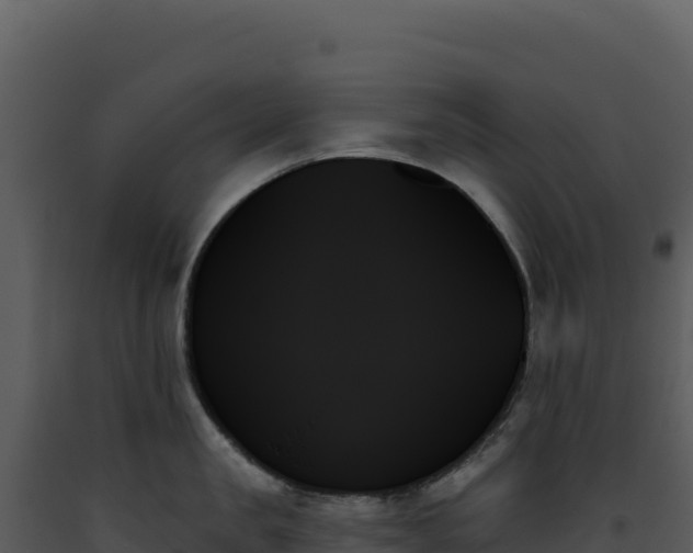 X0000093500957200710191246