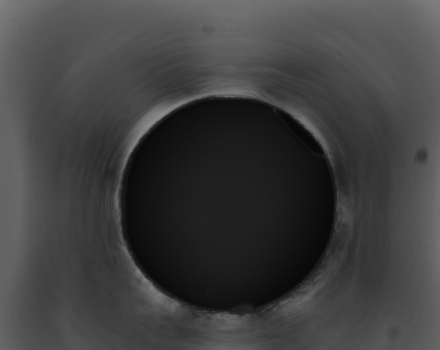 X0000093500959200710191246
