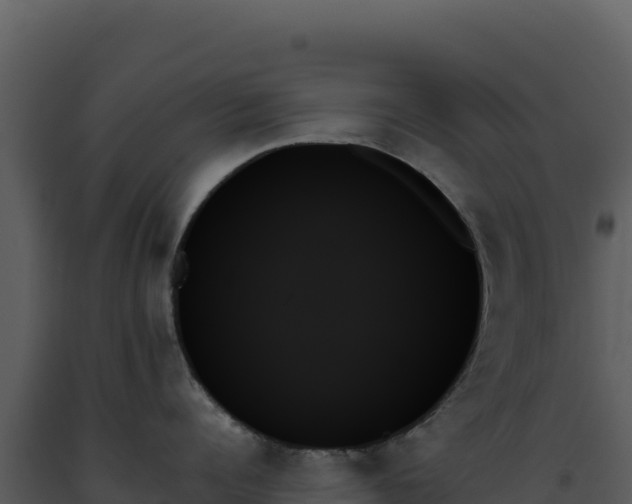 X0000093500960200710191246