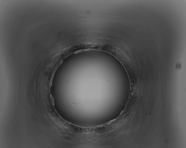 X0000093500961200710191245