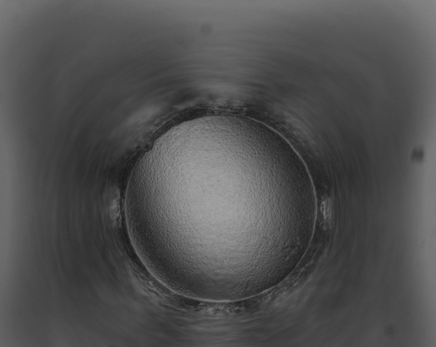 X0000093500963200710191245