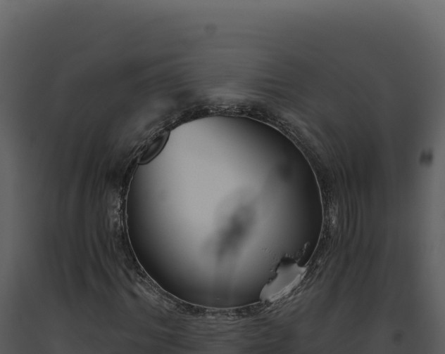 X0000093500964200710191245