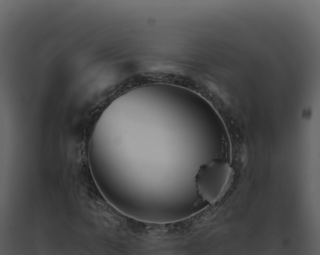 X0000093500965200710191245