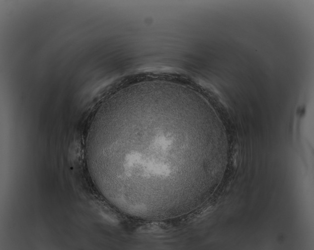 X0000093500966200710191245