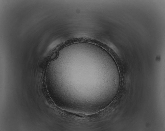 X0000093500967200710191245