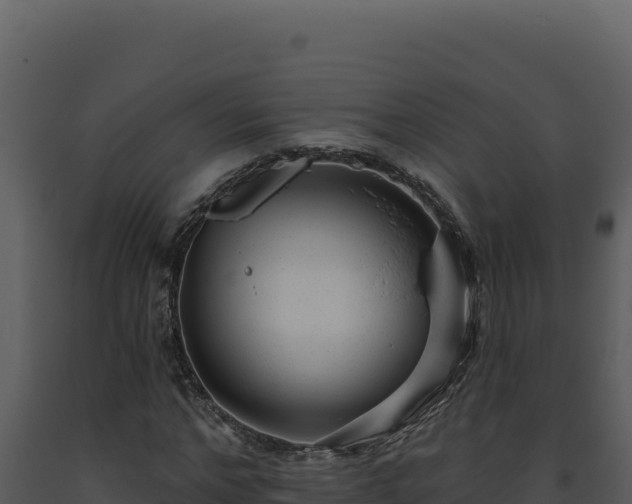 X0000093500968200710191245