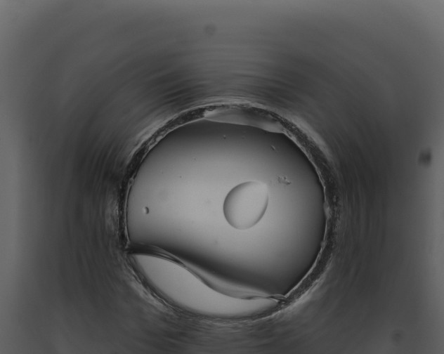 X0000093500969200710191245
