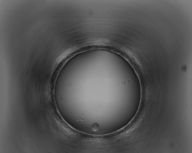 X0000093500970200710191245