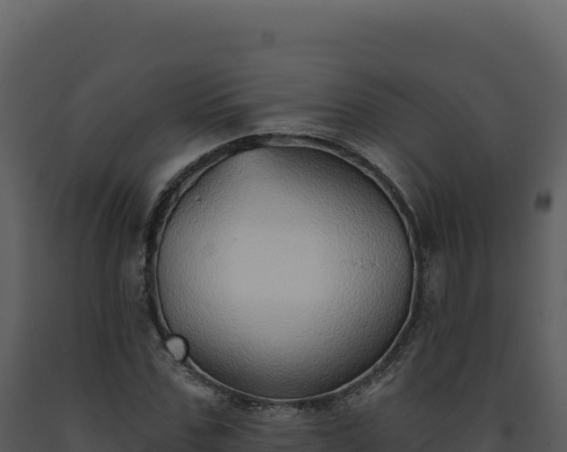 X0000093500971200710191245