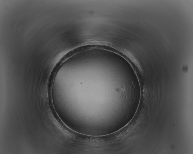 X0000093500972200710191245