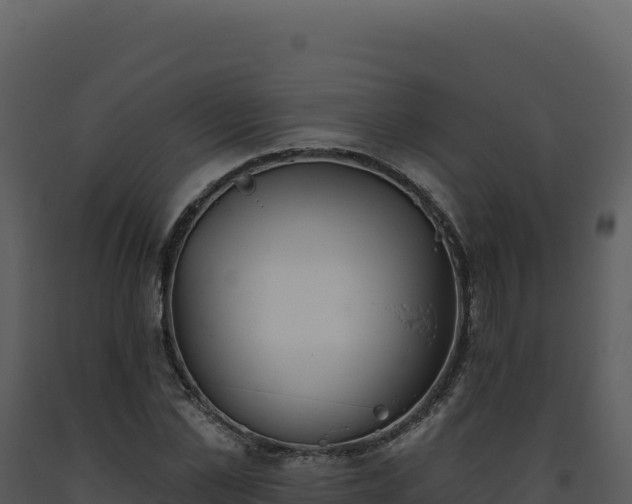 X0000093500973200710191245