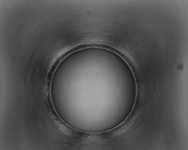 X0000093500974200710191245