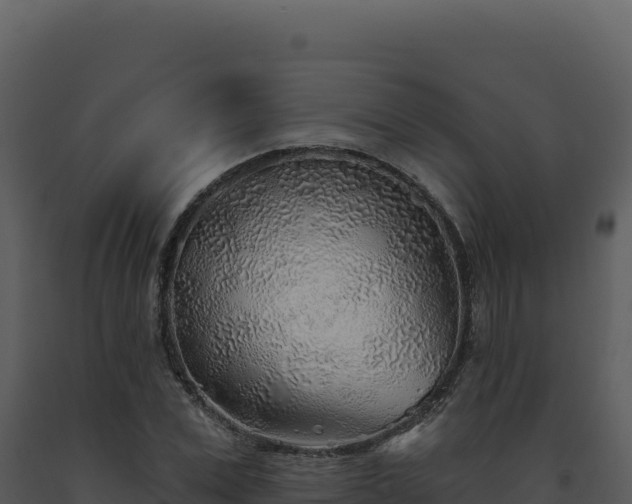 X0000093500975200710191245