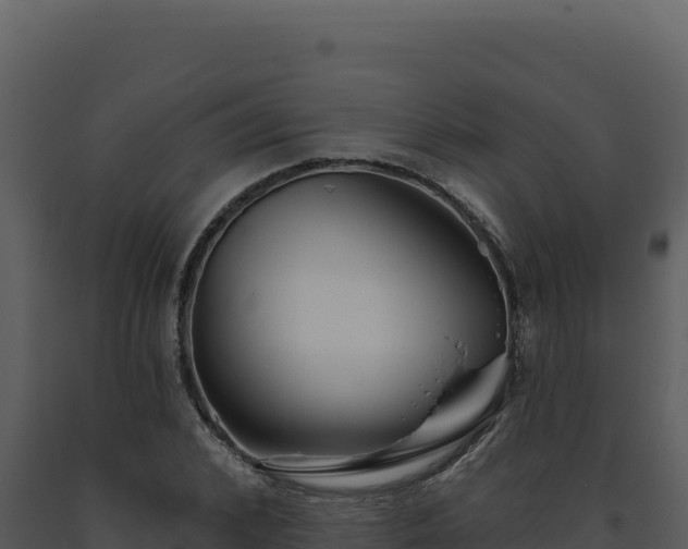 X0000093500976200710191245