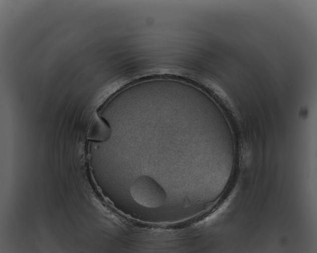 X0000093500977200710191245