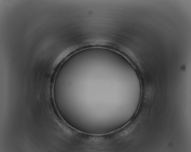 X0000093500978200710191245
