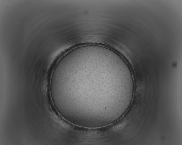 X0000093500979200710191245