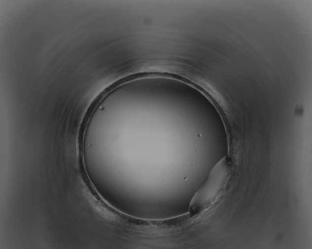 X0000093500980200710191245