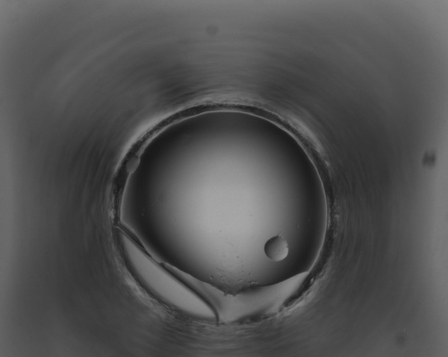 X0000093500981200710191245