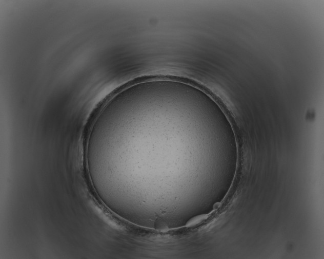 X0000093500982200710191245