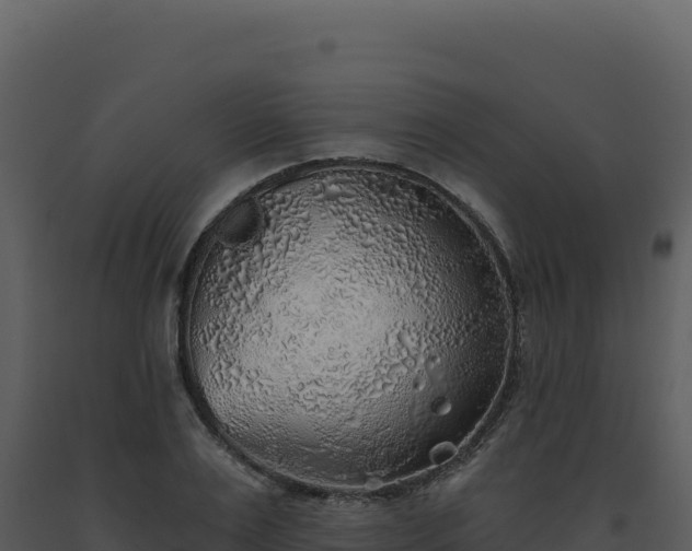X0000093500983200710191245