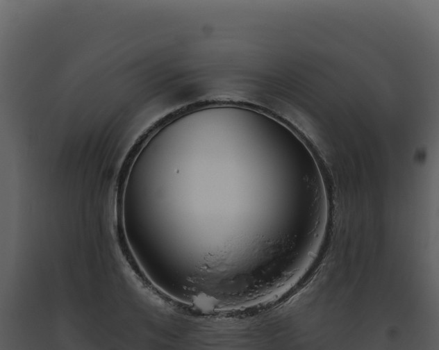 X0000093500984200710191245