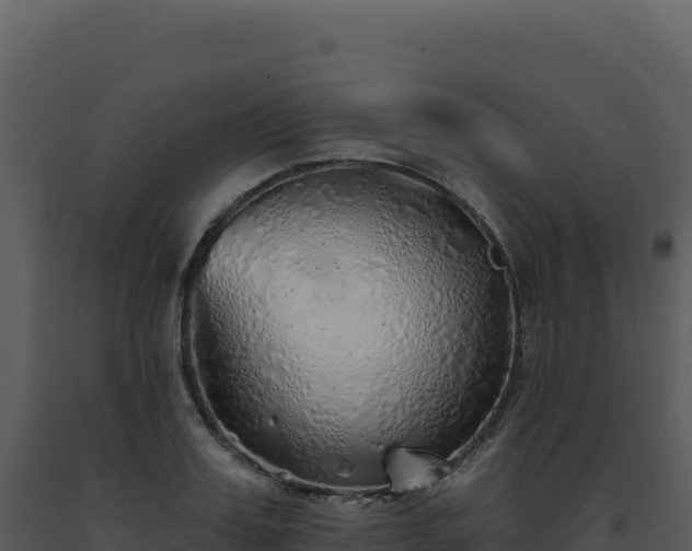 X0000093500987200710191245