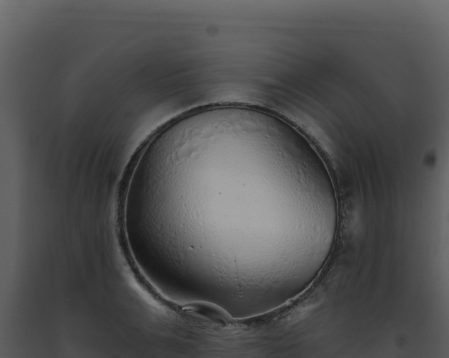 X0000093500991200710191245