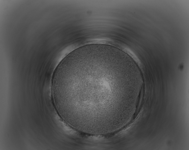 X0000093500994200710191245
