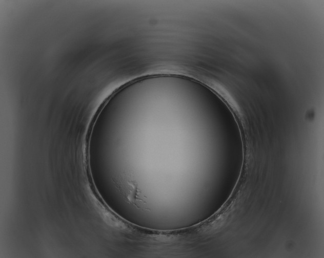 X0000093500996200710191245